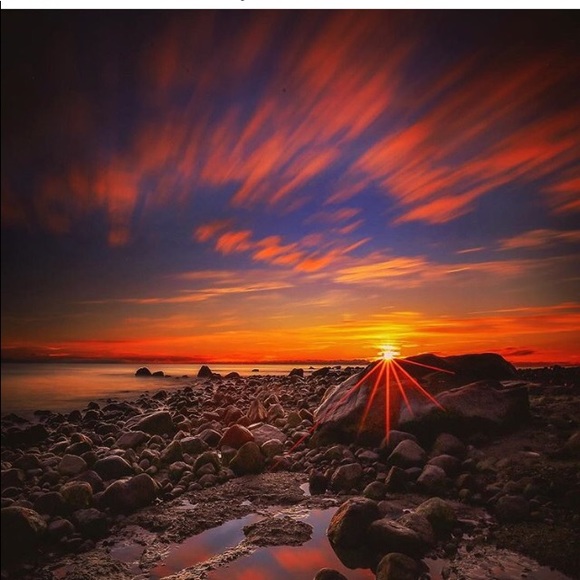 Meet your Posher, Jane - Picture 3 of 5